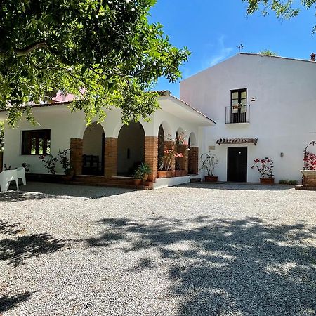 Villa Tana Pacenzia Cefalù Extérieur photo