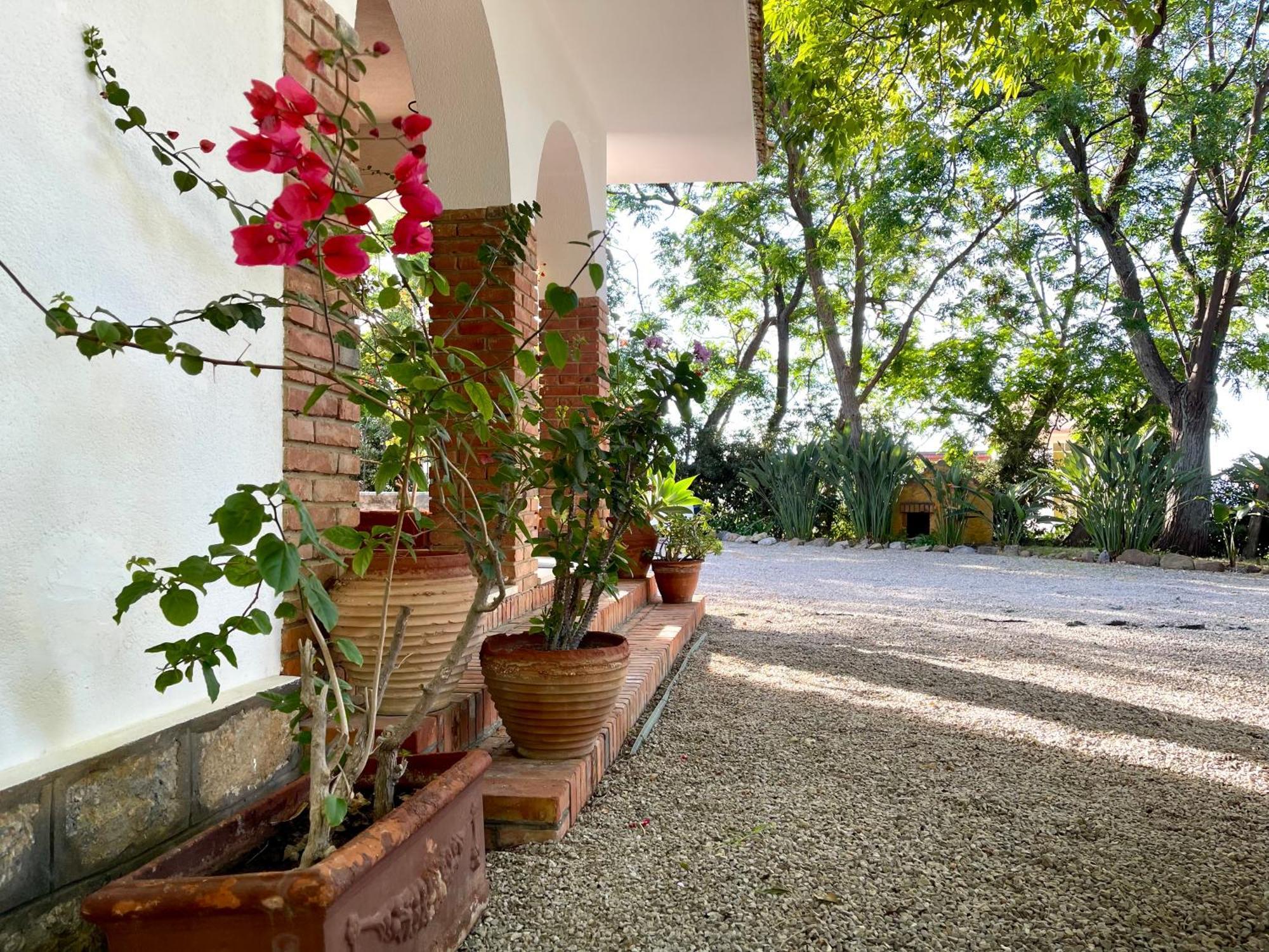 Villa Tana Pacenzia Cefalù Extérieur photo